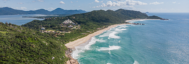 praia mole, surf em Florianópolis